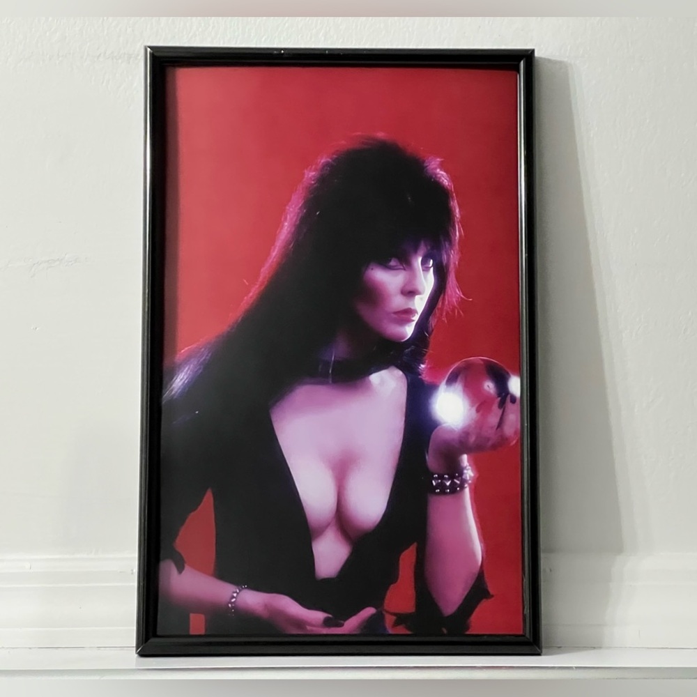 Elvira Mistress Of The Dark Poster